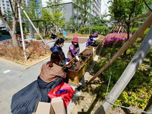 상자텃밭 보급사업 사진